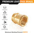 10-Pack Brass Press Fitting Adapter, 1/2" Press X 1/2" Female NPT Adapter, LF Brass