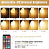Yochoice Bulb Dimmable A19 Bulb 9 3 Bulb Non-Hardwired2 Pack Rechargeable Battery Operated Light with Remote Control