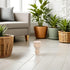 3.54x1.85 Inch Operitacx Wooden Sofa Legs French Style Decorative Round Furniture Feet Unfinished Wood Replacement