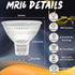 Ark Lighting 50W 12V MR16 2 Bulb, 50W GY6.35 4100K EXN Flood Light -Incandescent | Prong Light Brightness, Bi-Pin