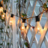 10 Pack ST40 Bulbs 7W E17 Bulbs Replacement for Outdoor String Lights, Intermediate Base Clear Incandescent Edison