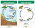 NewPath Learning Life Cycles Bulletin Board Charts, Set/8, Laminated, 12" x 18" (94-1504)