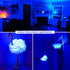 LED Blue Light Bulbs, 4 Pack, A19 E26 Base, 9W (60W Equivalent), Colored Lightbulbs for Holiday Lighting