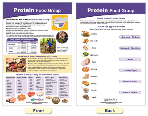 NewPath Learning MyPlate Food Groups Bulletin Board Charts, Set of 8, Laminated, Double-Sided, 12" x 18"