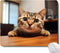 Cute Cat Square Mouse Pads, Non-Slip Rubber Base, Small Office Computer Mousepad for Desk Laptop