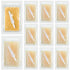 Reallnaive 10 Pcs Surgical Hand Scrub Brush with Sponge Disposable Double Sided Cleaning