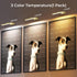 Dimmable 16inch) Wireless Picture Lights for Wall, Battery Operated Wall Light for Painting Rechargeable CCT Rotatable