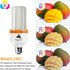 LED Light Bulb, 400W Equivalent, 6250 Lumen, 5000K Super Bright, E26/E27 Medium Base, 2 Pack
