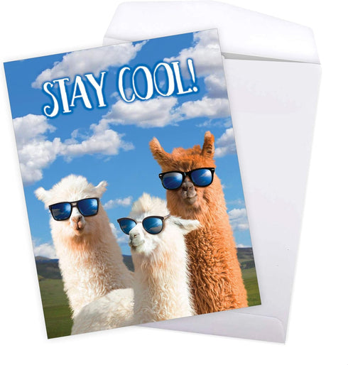 NobleWorks Jumbo Funny Congratulations Greeting Card, 8.5 x 11 Inch with Envelope (1 Pack) - Big Congrats Llamas