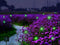 Wskvlcg Solar Powered Firefly Lights, 9 LED Automated Pulsating String Chasing Firefly Lights