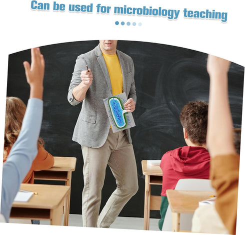 Realistic Cell Model for Biology Education - Anatomical Teaching Aid