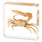 Hudirgo Taxidermy Fiddler Crab in Resin - Real Taxidermy Animals Have Unique Collection