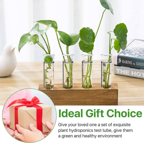 15 Pcs Clear Test Tubes for Plant Propagation - Borosilicate Glass Tubes for Hydroponic Flowers, 30 ml