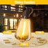 ST38 Bulbs, (66FT) Solar String Lights Outdoor Waterproof with Remote & Timer, LED Shatterproof USB & Solar Powered