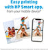 4x6 100 (CR759A) HP Everyday Photo Paper, Glossy, in, sheets