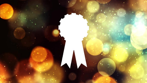 Award Ribbon Style Design Stencil, 4-Inch, Reusable Mylar Cutout, Perfect for Sign Art, Crafts & DIY Projects