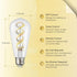 Bulb ST19, Bulb, 2700K-6500K ST58 Bulb, 5W (50 500lm, 1-Pack DiCUNO Smart Edison Color Changing WiFi Smart Light