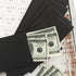 Granhoolm 50 Pack Large Cash Envelopes 3.5 x 6.5 inch for Savings Plan, Coin, Seed, Credit Card, Check