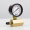Low Pressure Gas Tester Gauge SH74-422, 0-200 PSI, 3/4" FIP Hex Body with 2" Display