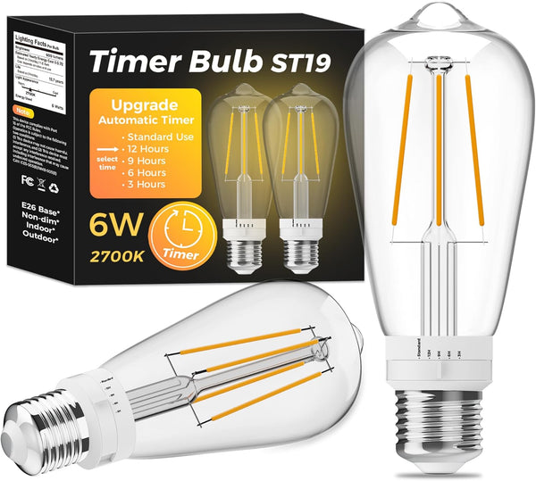 ST19 Timer Light Bulb 2 Pack: Vintage Edison LED Bulbs with Built-in