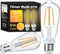 ST19 Timer Light Bulb 2 Pack: Vintage Edison LED Bulbs with Built-in