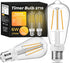 ST19 Timer Light Bulb 2 Pack: Vintage Edison LED Bulbs with Built-in