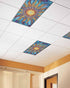 Futuregrace Ceiling,4 Pack 4x2 Magnetic Light Cover for Classroom Drop Ft Abstract Sun Flame Colorful Texture