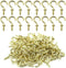 nanaxagly 100 Pieces 1/2 inch Cup Screw Hooks, Brass Plated Self-Tapping Screw-in Hooks,