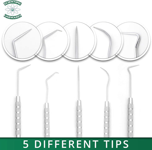 5-Piece Stainless Steel Precision Probe, Pick and Hook Set for Dissection, Clay Modeling, and More