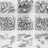 250pcs Round Head Solid Rivets, Knurled Shanks M2 M3 M4 M5 Stainless Steel Fasteners Assortment Kit