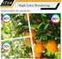 16W Dimmable ST64 LED Bulbs, 5000K Daylight White, E26 Base, Clear Glass, 1920 Lumen, Pack of 4