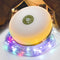 Camping Lights String Outdoor: 4 in 1 Christmas Outdoor String Lights with