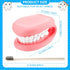 1 28 Patelai Pcs Professional Mouth Puppet for Speech Therapy, Hand Operated Dental Model with Flexible Tongue & Teeth