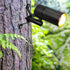 12V MR16 Bulb Arrownine Landscape Lighting Moonlighting Tree Down Lighting Fixture,Low Voltage Outdoor Lighting Wall