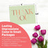 Set 24 S&O Boho Thank You Cards with Envelopes, Blank Decor Sheets for Handwritten Messages, of Greeting notes