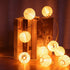 10 120V 9.83FT TIGOMOOV White Nylon Lantern String Lights, Plug in, White Wire, Waterproof Indoor Outdoor Hanging Fairy