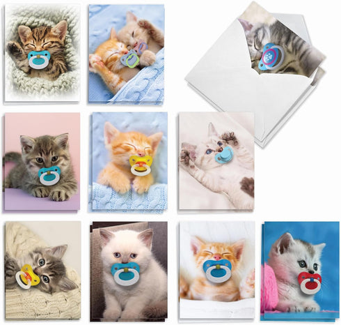 The Best Card Company 20 Cat Greeting Cards (4 x 5.12 Inch) - Assorted Designs (10 Designs, 2 Each) - Cat Pacifiers