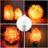 Jacqings B11 C35 40W E26 Bulbs 120V Dimmable, 2700K (6 Pack) Lighting Torpedo Clear CTC Base Decorative Incandescent