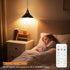 Bailoch 1 Pack Black Portable Battery Operated Hanging Light, Rechargeable Wireless Outdoor Pendant Light with Remote