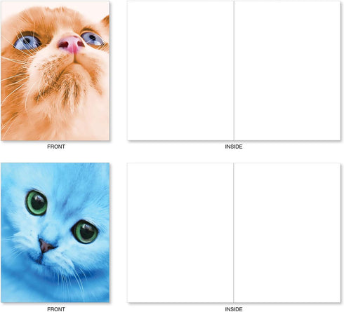 The Best Card Company 20 Adorable Cat Greeting Cards, Blank Assortment (4 x 5.12 Inch, 10 Designs, 2 Each)