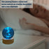 2.36 Inch 3D Sea Turtle Crystal Ball Night Light, Engraved Sea Turtle Crystal Ball lamp with Wooden Base, Turtle Decor