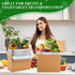 Honoson 2 Frozen Pack Pack Frozen (12'' 5.5'' 7.5'') Pcs Thermal Insulated Shipping Boxes for Food with Ice
