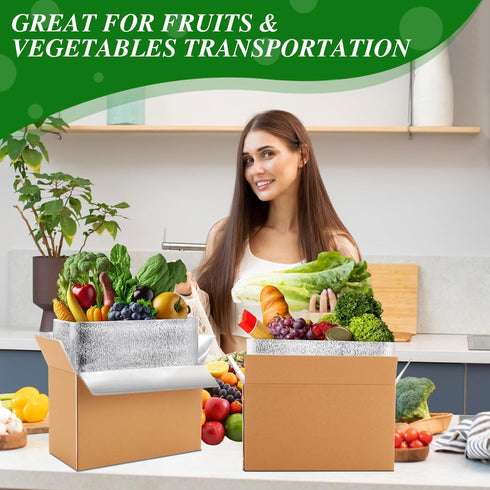Honoson 4 Frozen Pack Pack Frozen (12'' 5.5'' 7.5'') Pcs Thermal Insulated Shipping Boxes for Food with Ice