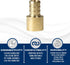 25 Pcs XFITTING 1/2 Inch Pex x 1/2 Inch Female Sweat Adapter, 23-3-6=25X