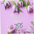 1set Levemolo Floral Tubes Reusable Water Containers for Fresh Flower Stems for Carnations Roses Sunflowers Lightweight