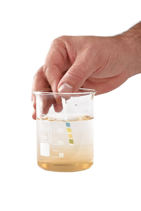 pH Strips, 0-14 Scale for Testing Water pH, Made of Premium Litmus Paper (100 Strips)