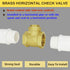 3/4" Swing Brass Check Valve DN20, 3/4 Female Thread Horizontal One Way Check Valve, Oil Water Fuel Gas Air Check Valve to Prevent Water Backflow for Sump Pump and Air Compressor