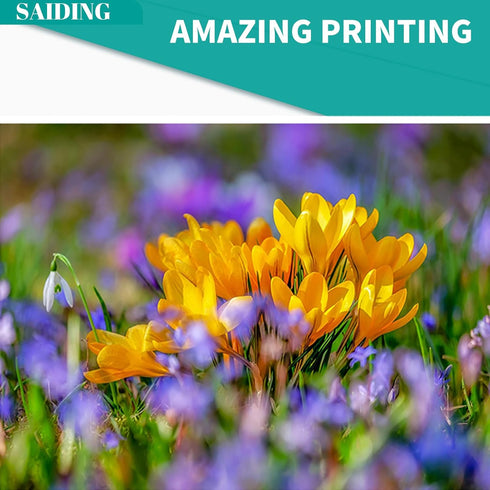 SAIDING Compatible Toner Cartridge Replacement for Dell M11XH B2360 B3460 B3465 - 1 Black