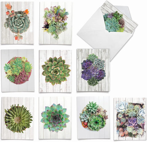 The Best Card Company - 10 Blank Note Cards with Envelopes (4 x 5.12 Inch) - Bulk Boxed All Occasion Cards