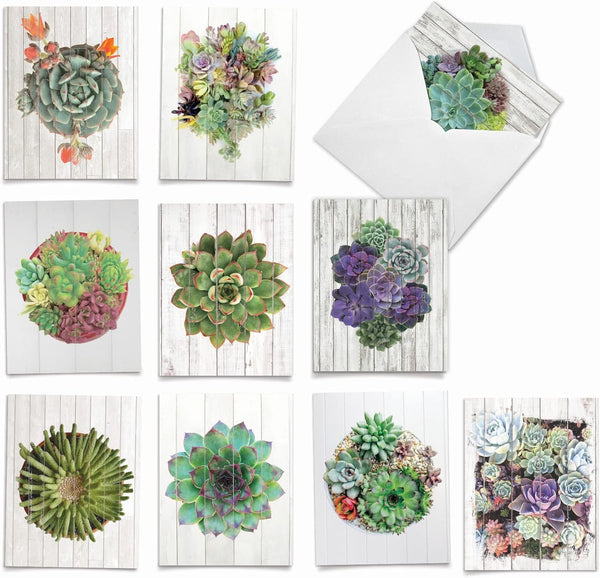 The Best Card Company - 10 Blank Note Cards with Envelopes (4 x 5.12 Inch) - Bulk Boxed All Occasion Cards
